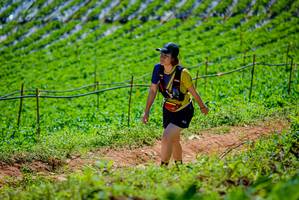 BIB: 
                            <button type="button" onclick="openModal(19164771)" class="btn btn-primary btn-sm float-right btn-popup" data-toggle="modal" data-target=".modal-high-quality">
                        <i class="fas fa-shopping-cart"></i> Add to Cart
                    </button>
                                            <button type="button" onclick="isThisMe(19164771, true)" class="btn btn-success btn-sm float-right btn-popup btn-isme hidden" data-toggle="tooltip" data-placement="bottom" title="นี่คือรูปของคุณใช่ไหม คลิกที่นี่เพื่อเอาเข้าอัลบั้ม">
                        <i class="fas fa-plus"></i> Add to album
                    </button>
                    <button type="button" onclick="isThisMe(19164771, false)" class="btn btn-warning btn-sm float-right btn-popup btn-isnotme hidden">
                        <i class="fas fa-ban"></i> Remove from album
                    </button>